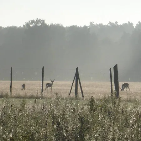 Apartmán 1 Im Am Wildpark Boek