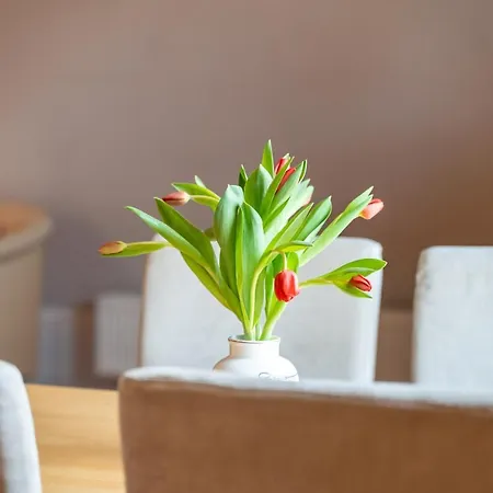 Apartamento 1 Im Am Wildpark Boek